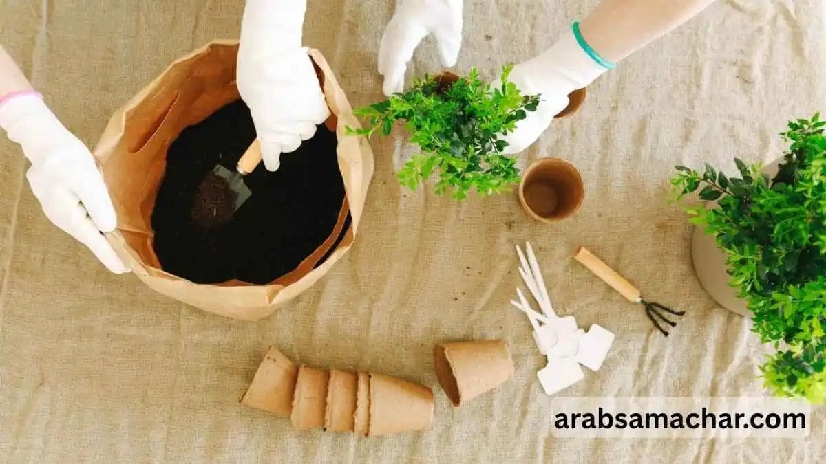 gardening pots