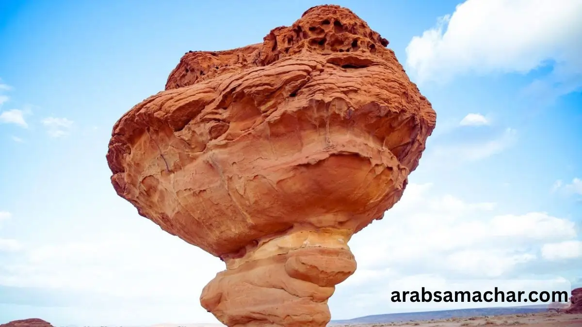 saudi arabia visa package news